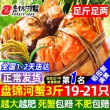 【活蟹】网兜蟹辽宁盘锦河蟹稻田河蟹礼盒螃蟹鲜活大闸蟹无绳净重 六月黄丨1.4-1.6两【3斤】19-21只