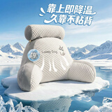 艾薇靠枕床头靠垫软包床上靠背垫办公室腰靠沙发抱枕腰垫60*45冰豆狗