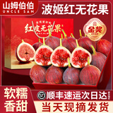 山姆伯伯红皮无花果【顺丰-多地次日达】云南当季新鲜水果中秋送礼礼盒 SS+级超级果王|单果45-70g【爆甜】 3斤【爆款主推-80%选】净2.5斤
