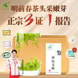 打鼓岭茶叶绿茶2026安徽黄山毛峰明前特级头采新茶100g春茶自己饮喝送人