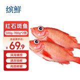 缤鲜 挪威 红石斑鱼净重500g-700g*2条  大眼鱼富贵鱼 鱼类-源头直发