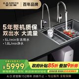 史密斯（A.O.SMITH）净水器家用净水器AI-LiNK厨房专用台下用净水机直饮一体机双出水 冠军之选 R1800DWWi