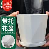 寿禾 花盆家庭园艺盆栽绿萝多肉发财树种植盆 木里盆小号-浅灰