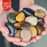 寿禾 鹅卵石石头大块水族箱鱼缸盆栽装饰铺路 2-4cm天然精抛鹅卵石1kg