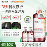卓蓝雅防脱洗护3件套（固发防断发洗发水800ml+125ml+柔顺护发素125ml）