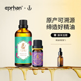 伊帕尔汗薰衣草精油单方精油香薰按摩油身体植物精油精华油  品牌20周年庆 薰衣草精油10ml+荷荷巴油50ml