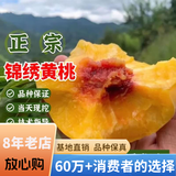 欧悟【买2颗送1颗】嫁接车厘子树苗大樱桃树苗盆栽果树苗木南北方种植 黄桃树苗 七年大苗（结果多）