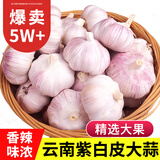 中鲜生云南大理紫白皮大蒜 干蒜 大蒜头2026年新货蔬菜生鲜 净重3斤装【26年干蒜大果】