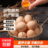 京喜加 谷物喂养初产新鲜鸡蛋40g正负5g生鲜超市买菜早餐鲜鸡蛋草鸡蛋 4枚
