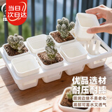 寿禾 育苗盒方形育苗杯种植盆培育种苗 育苗盒套装(含托架)-白色款