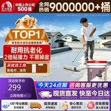 东方雨虹楼顶屋顶防水补漏材料耐高温防晒防冻 防水涂料 房屋漏水防水胶补漏裂缝渗水堵漏王补漏王