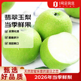 趣尝鲜 砀山翡翠玉梨 净重5斤 单枚250g起 26年新梨 源头直发包邮
