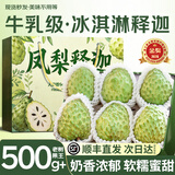 沐小七果蔬 凤梨牛奶释迦果【顺丰-多地次日达】泰国大目番荔枝中秋水果礼盒 3斤装【双人爽吃-狠划算】净2斤 20年老树 巨无霸【单果约350-450g】
