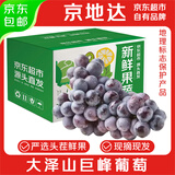 京地达大泽山巨峰葡萄净重3斤精选大果 现摘水果 源头直发 包邮