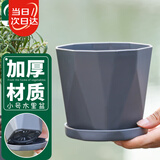 寿禾 花盆树脂带托盘简约室内绿植盆栽 木里盆小号-深灰