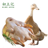 初土记 老鸭2斤/只 土鸭大湖活水放养麻鸭 720天母鸭水鸭新鲜现杀原产地 3年老鸭