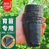 寿禾 育苗钵种植盆农用营养钵种菜工具 育苗钵约1000个