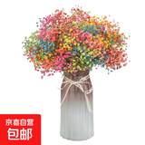 【限时优惠】满天星鲜切花半干花材云南鲜花直发可做干花经典配花 随机单色满天星20g