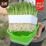 北蔬 育苗盘水培芽苗菜育苗盒种植盒保温带盖发芽盒 五角芽苗菜育苗盘