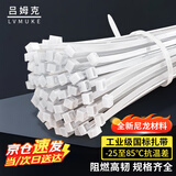 吕姆克自锁式尼龙扎带 电脑装机走线 桌面理线网线数据线收纳束线捆扎 园艺榴莲捆绑带 国标白色2.5*100mm 100条