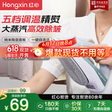红心电熨斗家用大功率 大蒸汽手持小型熨烫机 新款RH170 便携护理烫衣服 青色 【五档温度 护理不同材料】