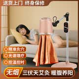 艾点（Ai Dian）艾灸仪器一体机无烟家用理疗仪美容院温灸仪全身用熏蒸仪艾炙烤灯 标准款（七光渗透+蜂窝聚热） M