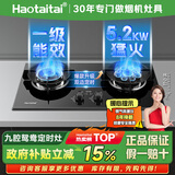 Haotaitai天然气燃气灶双灶家用猛火5.2KW台式嵌入式猛火定时炉具玻璃鸳鸯灶JZT-P19-D-12T