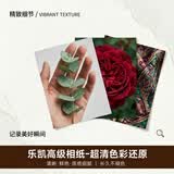 世纪开元 洗照片高清冲印相片打印晒手机照冲洗服务定制塑封宝宝全家福图片毕业合照乐凯相纸6英寸10张G
