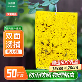 加品惠粘虫板黄板诱虫板50张15*20cm双面苍蝇贴果蝇飞蛾小飞虫诱捕