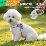 憨憨宠狗绳 狗链牵引绳胸背带套装自动伸缩遛狗绳子中小型犬宠物用品 青灰色款狗链胸背带两件套 大号5米 胸背L号建议体重22-35斤