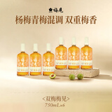 梅见青梅酒果酒女士低度梅子微醺酒12度双梅混调750ml*6瓶自饮聚餐