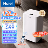 海尔（Haier）除湿机/抽湿机除湿量12L/天 家用20㎡地下室室内低音干衣压缩机式卧室小型回南天吸湿器CF12-JYA1