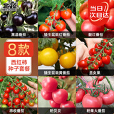 北蔬 西红柿种子种苗盆栽小果大果番茄蔬菜种籽 8种西红柿种子组合