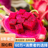 欧悟【买2颗送1颗】火龙果苗南方北方庭院阳台盆栽地栽红心火龙果树苗 红龙火龙果 四年苗（当年结果）