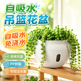芷郁悬挂式垂吊绿植花盆吊兰百搭树脂懒人吸水花盆绿萝常春藤 灰白色