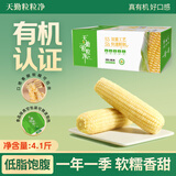 天勤粒粒净有机白糯玉米棒(8穗*260g)糯玉米真空包装低脂粗粮早餐代餐