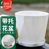 寿禾 花盆加厚绿植发财树种植盆家庭阳台园艺 木里盆中号-浅灰