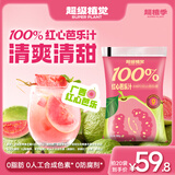 超植季超级植觉果汁100%红心芭乐汁180g*20袋0脂肪饮料即饮
