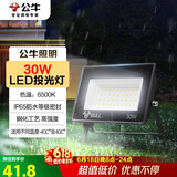 公牛（BULL）LED投光灯户外庭院工厂园林灯露营灯 IP65防水等级30W-6500K白光