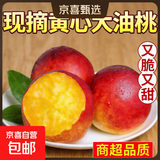 京喜加山西新鲜现摘脆甜油桃当季蜜桃孕妇生鲜水果桃子整箱批发包邮 【清甜多汁】黄心油桃 小果（单果：50-60g） 【实惠款】净重1斤+（中大果）