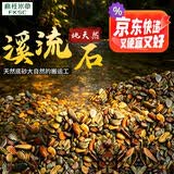 疯狂水草溪流鹅卵石5斤天然溪流石鱼缸专用底砂溪流缸造景石装饰溪流沙