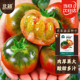 北蔬 草莓番茄种子种苗水果铁皮西红柿子蔬菜种籽 草莓番茄种子50粒