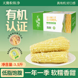 天勤粒粒净有机小香糯玉米（3.52斤）8穗*220g鲜食糯玉米棒玉米真空包装早餐