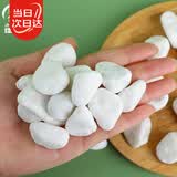寿禾 白石子鹅卵石鱼缸适宜多肉盆栽造景铺路辅材 1-2cm白卵石约500g