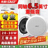 先科（SAST）YS4-5同轴定压吸顶喇叭20W音响背景音乐公共广播音箱家庭影院高保真天花家用门店商场吊顶6.5英寸