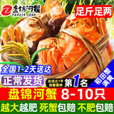 【活蟹】网兜蟹辽宁盘锦河蟹稻田河蟹礼盒螃蟹鲜活大闸蟹无绳净重 六月黄丨1.0-1.2两【1斤】8-10只