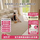 东升100%新西兰羊毛无胶水无甲醛抗菌防螨客厅卧室环保地毯可定制尺寸 左岸 3.4m*2.4m 1件
