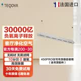 得康氧法国进口得康氧除菌空气净化器负离子发生器负氧离子机氧吧除甲醛异味无耗材除二手烟 450pro白色（吊顶立式两用）