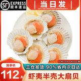 海泽鲜 鲜冻虾夷半壳特大扇贝1000g  海鲜烧烤食材超大号蒜蓉粉丝扇贝肉 【虾夷大扇贝】 800g(净重)  -1000