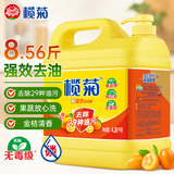 榄菊洗洁精大桶4.28kg 金桔全效果蔬清洗剂餐具食品用级别洗涤灵
